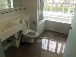 One Amber (D15), Condominium #581765351